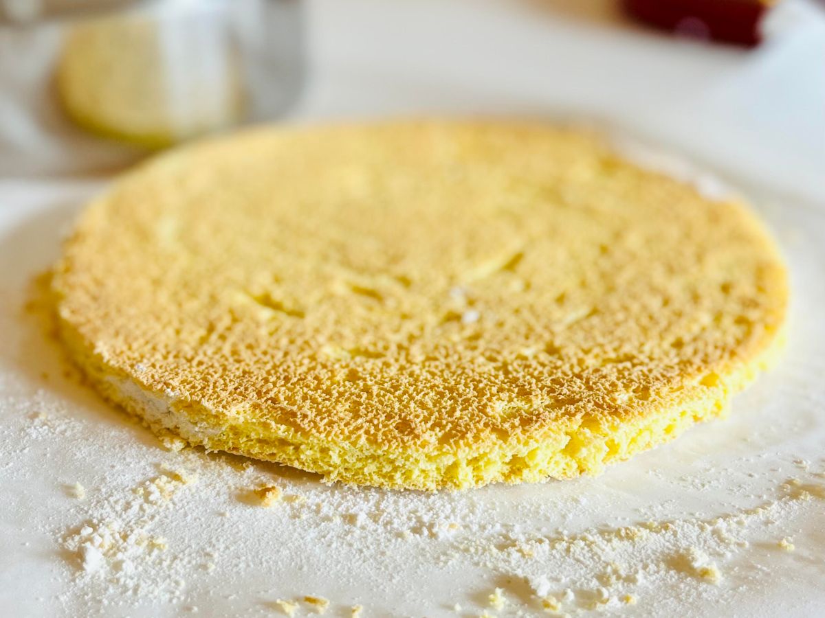 Base di Biscotto&nbsp;Savoiardo